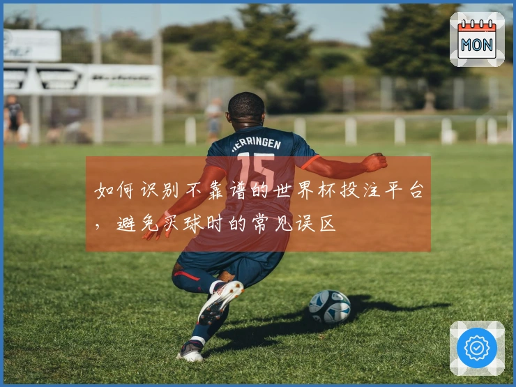 如何识别不靠谱的世界杯投注平台，避免买球时的常见误区