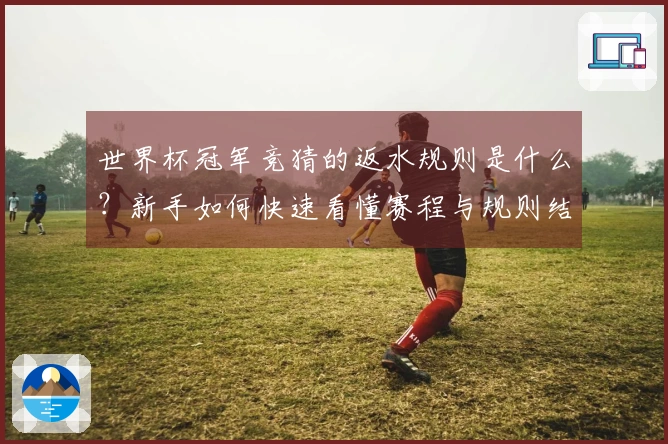 世界杯冠军竞猜的返水规则是什么？新手如何快速看懂赛程与规则结合的投注方式