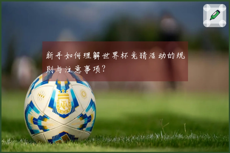 新手如何理解世界杯竞猜活动的规则与注意事项？