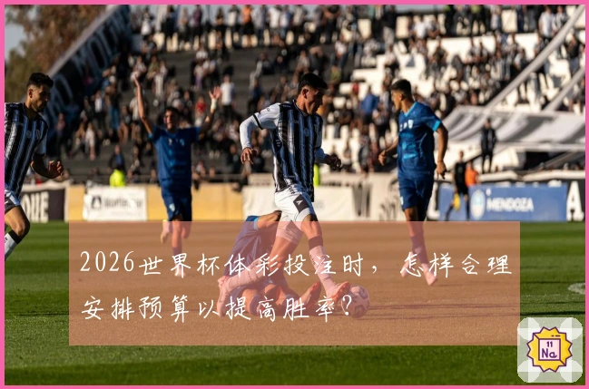 2026世界杯体彩投注时，怎样合理安排预算以提高胜率？