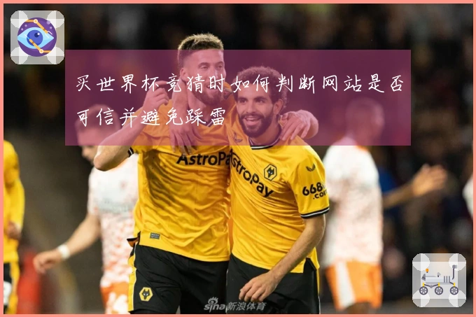 买世界杯竞猜时如何判断网站是否可信并避免踩雷