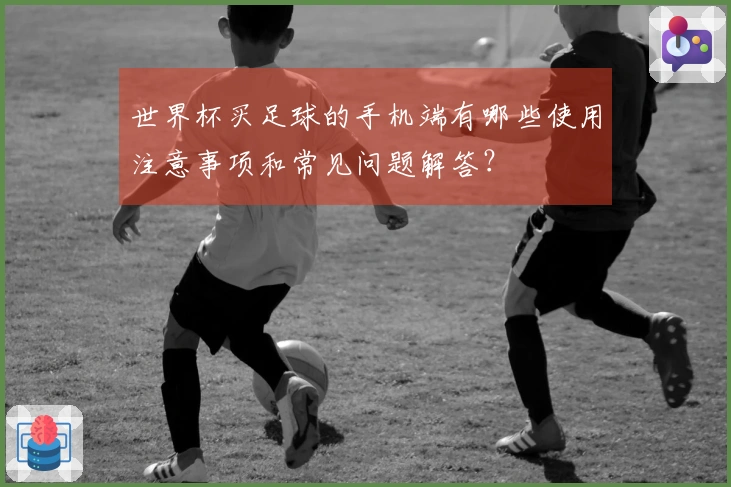 世界杯买足球的手机端有哪些使用注意事项和常见问题解答？